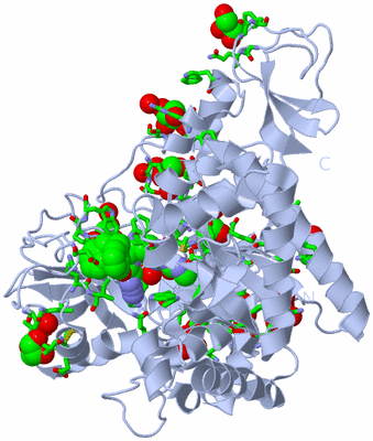 Image Biol. Unit 1 - sites