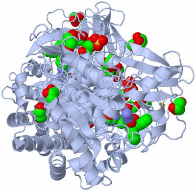 Image Biological Unit 2