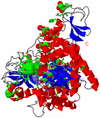 Image Asym. Unit - sites