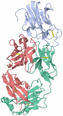 Image Asym./Biol. Unit