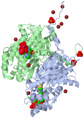 Image Asym./Biol. Unit