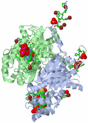 Image Asym./Biol. Unit - sites