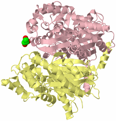 Image Biological Unit 2