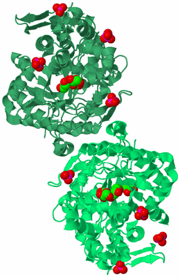 Image Biological Unit 1