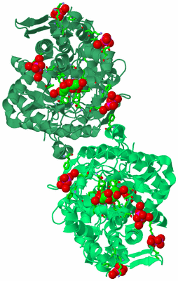 Image Biol. Unit 1 - sites