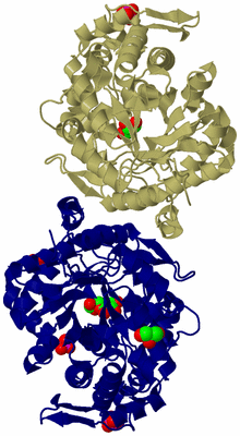 Image Biological Unit 2