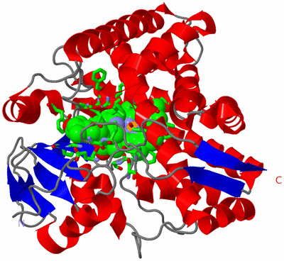 Image Asym./Biol. Unit - sites