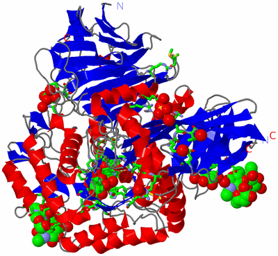 Image Asym./Biol. Unit - sites