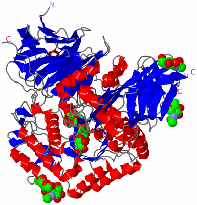 Image Asym./Biol. Unit