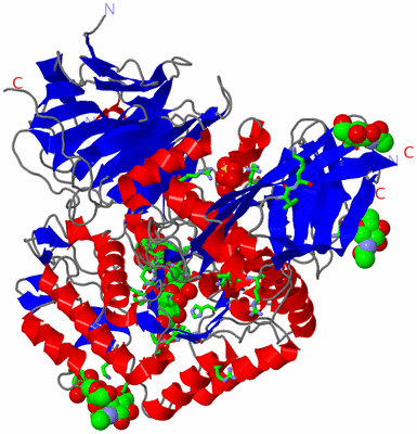 Image Asym./Biol. Unit - sites