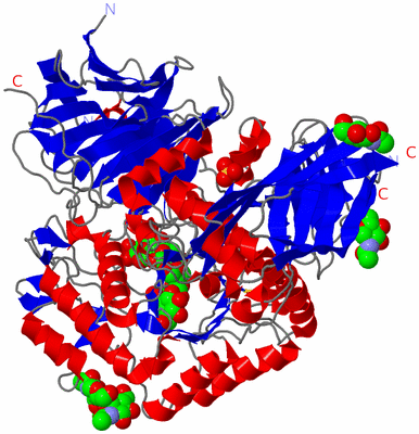 Image Asym./Biol. Unit