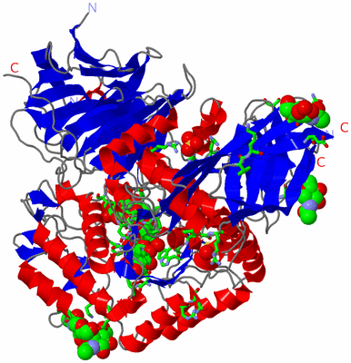 Image Asym./Biol. Unit - sites