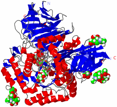 Image Asym./Biol. Unit