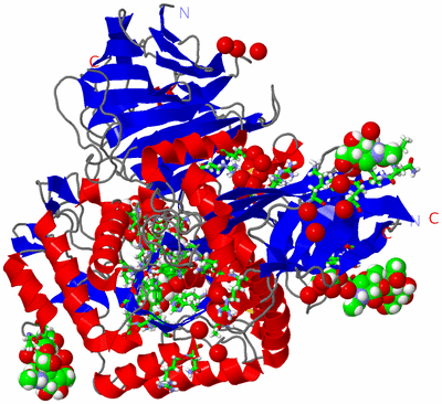 Image Asym./Biol. Unit - sites