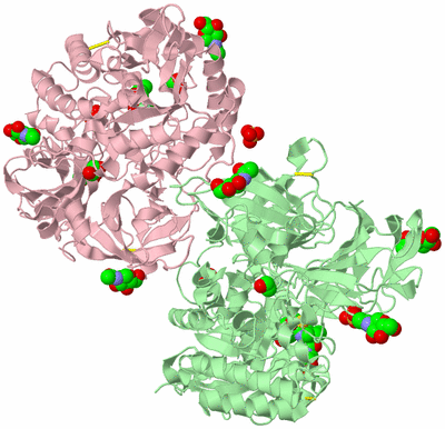 Image Biological Unit 2
