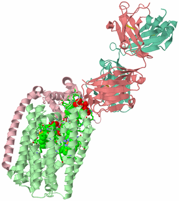 Image Asym./Biol. Unit - sites