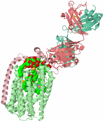 Image Asym./Biol. Unit