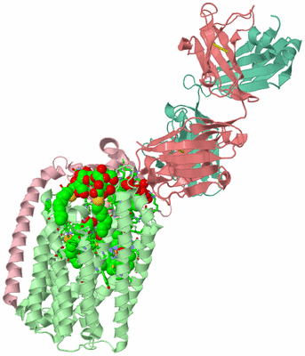 Image Asym./Biol. Unit - sites