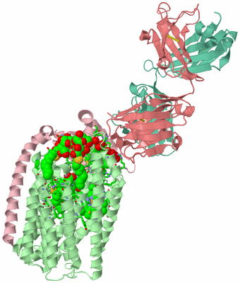 Image Asym./Biol. Unit - sites