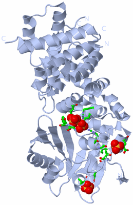 Image Biol. Unit 1 - sites