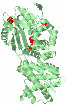 Image Biological Unit 2