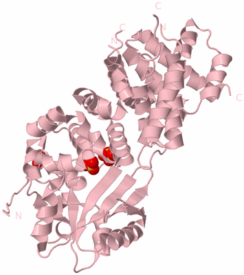 Image Biological Unit 3