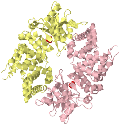 Image Biological Unit 10