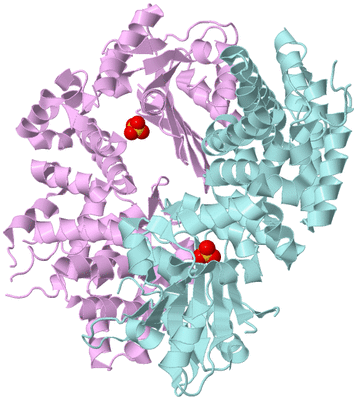 Image Biological Unit 11