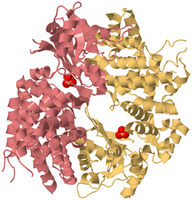 Image Biological Unit 12