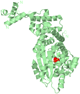 Image Biological Unit 2