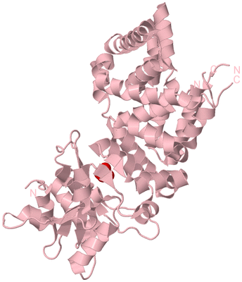 Image Biological Unit 3