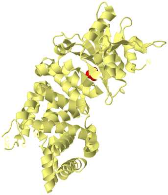 Image Biological Unit 4