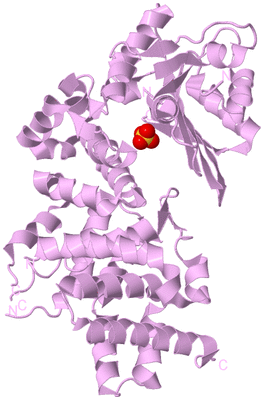 Image Biological Unit 5