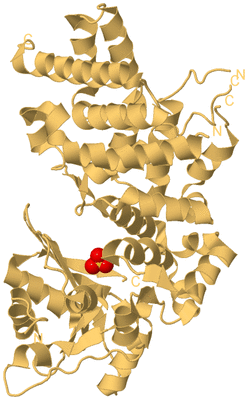 Image Biological Unit 7