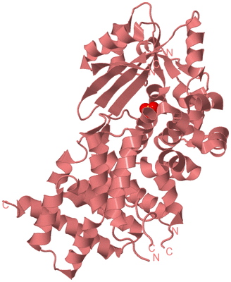 Image Biological Unit 8