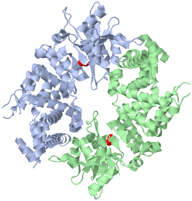 Image Biological Unit 9