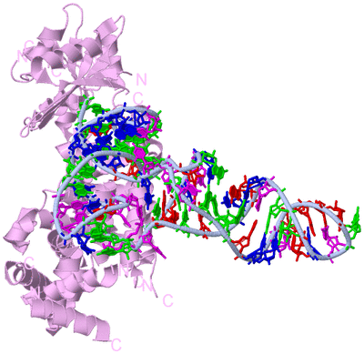 Image Biological Unit 1