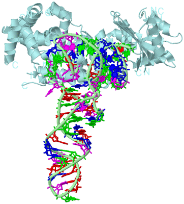 Image Biological Unit 2