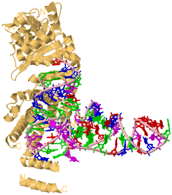 Image Biological Unit 3