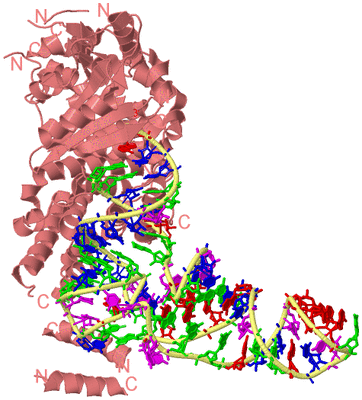 Image Biological Unit 4