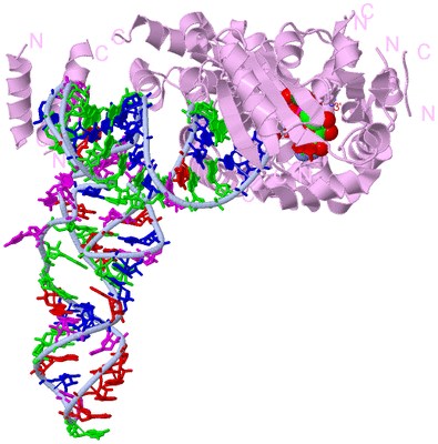 Image Biological Unit 1