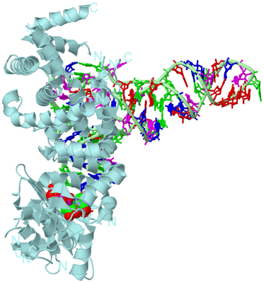 Image Biological Unit 2