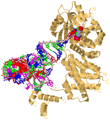 Image Biological Unit 3