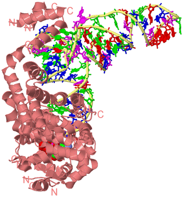 Image Biological Unit 4