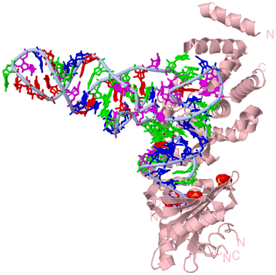 Image Biological Unit 1