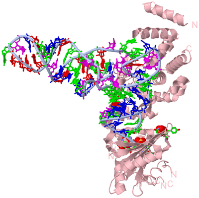 Image Biol. Unit 1 - sites