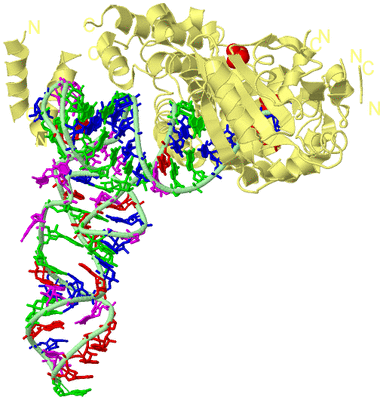 Image Biological Unit 2