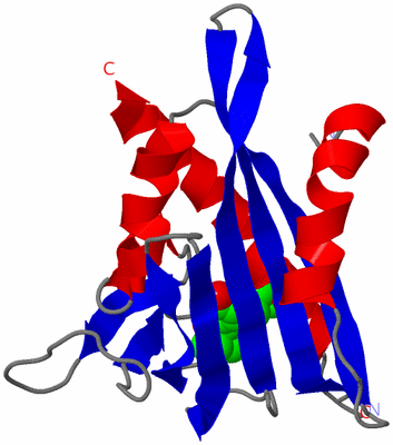 Image Asymmetric Unit