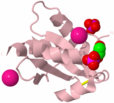 Image Biological Unit 3