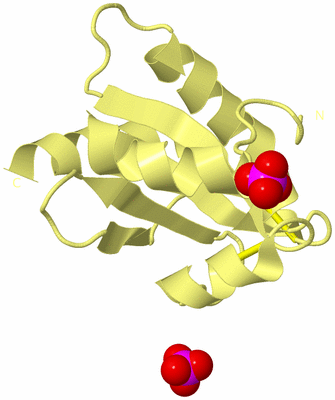 Image Biological Unit 4